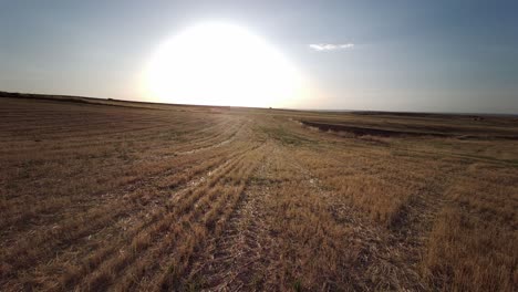 Tierras-Agrícolas-Cosechadas-En-Segovia-España-Cuando-Brilla-El-Sol