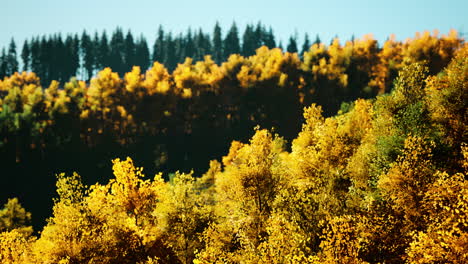 valle con árboles de otoño entre las montañas iluminadas por el sol al atardecer