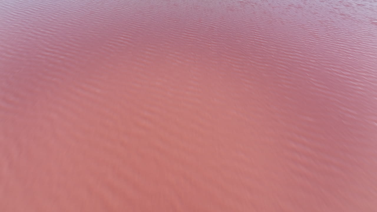 aigues-mortes의 은 풍경에 대한 새의 눈 여행.