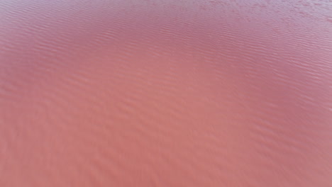 birds-eye journey over the blushing landscapes of aigues-mortes.