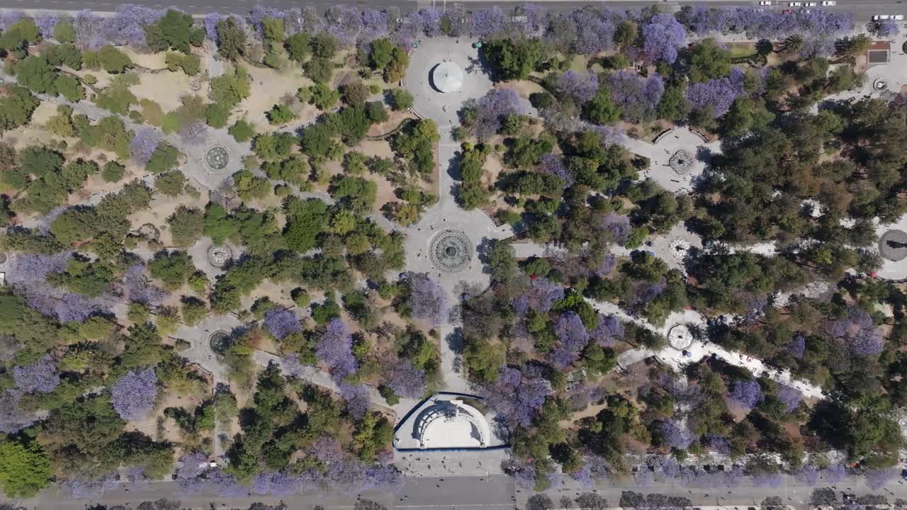 Alameda Park, Mexico City, Morning, aerial shot, nature, Mexico, trees, Big City
