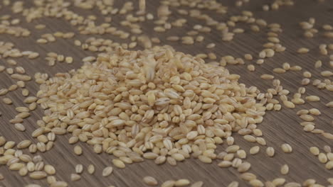 barley cereal wheat seed grain