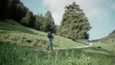 Junger-Erwachsener-Rucksacktourist-In-Jeans,-Der-Auf-Einem-Waldweg-Im-Freien-Wandert,-Zeitlupe