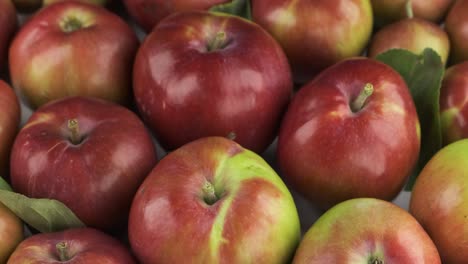 vertical panorama of a heap of fresh, ripe apples