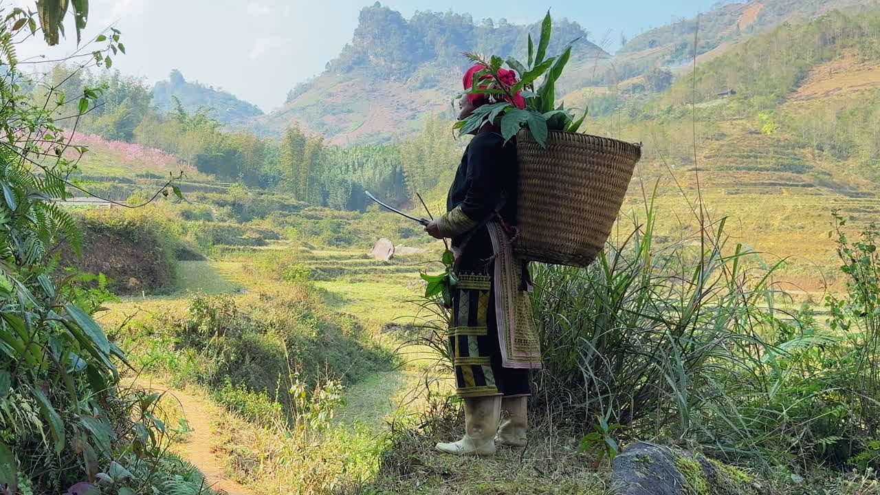 A woman in work clothes with a woven basket on her back and a sickle in her hand.