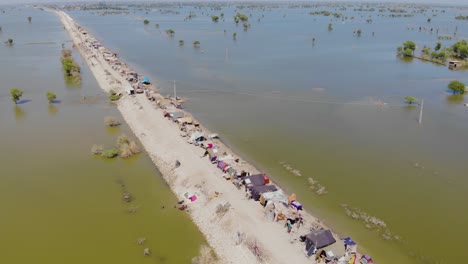 在sindh的jacobabad,空中飛過高架條<unk>住房的臨時帳<unk>,被淹沒的風景包圍.