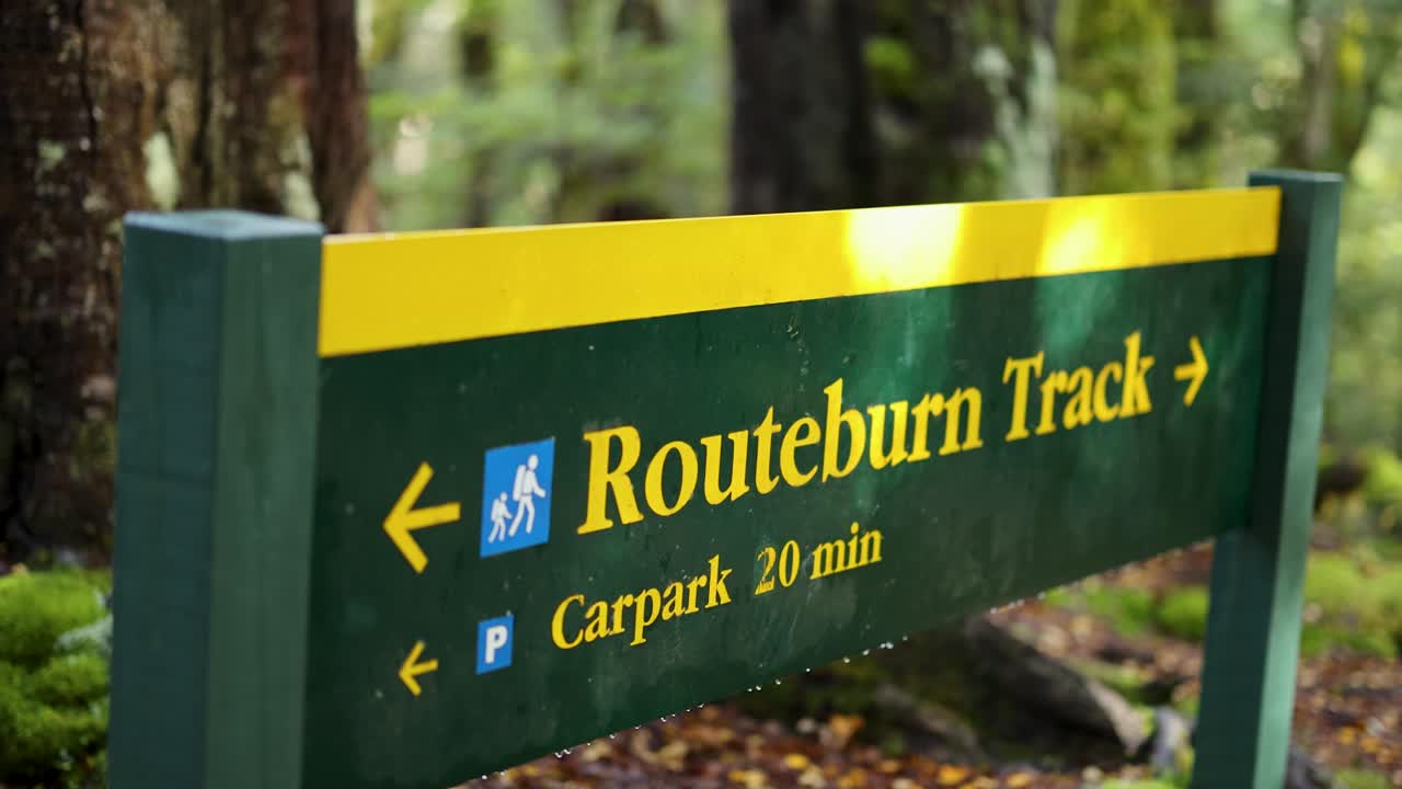 Camera slowly pans past a Routeburn Track sign in a lush, sunlit rainforest near Kinloch, New Zealand, with shallow depth of field