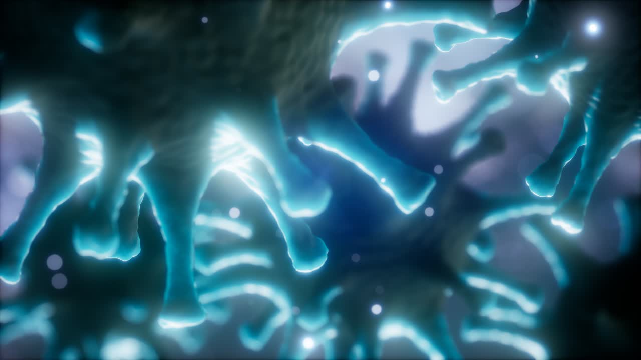 코로나 바이러스 ncov 호흡기 바이러스 개념