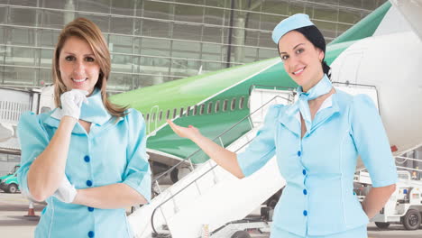 animation of happy caucasian female flight attendants over plane