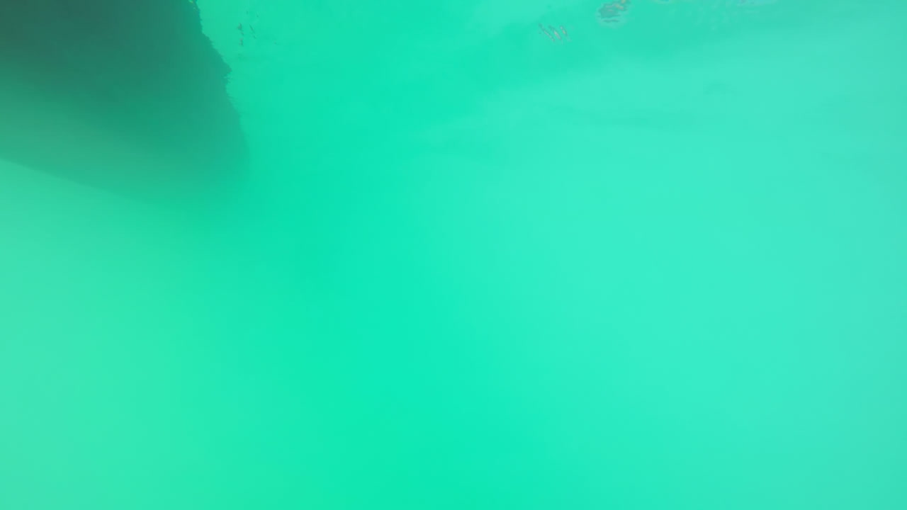 remando un bote en el río 4k