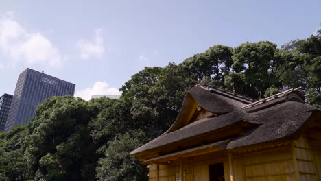 casa japonesa tradicional con techo de paja yuxtapuesta con rascacielos en tokio, japón