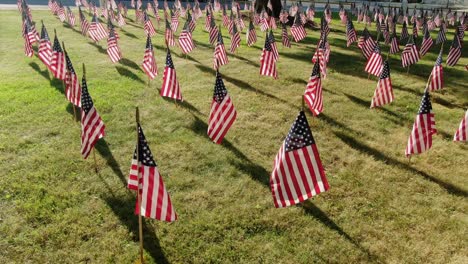 flags adorn lawn, americana theme, july 4th, memorial day, veterans day celebration, honor and respect veterans of war