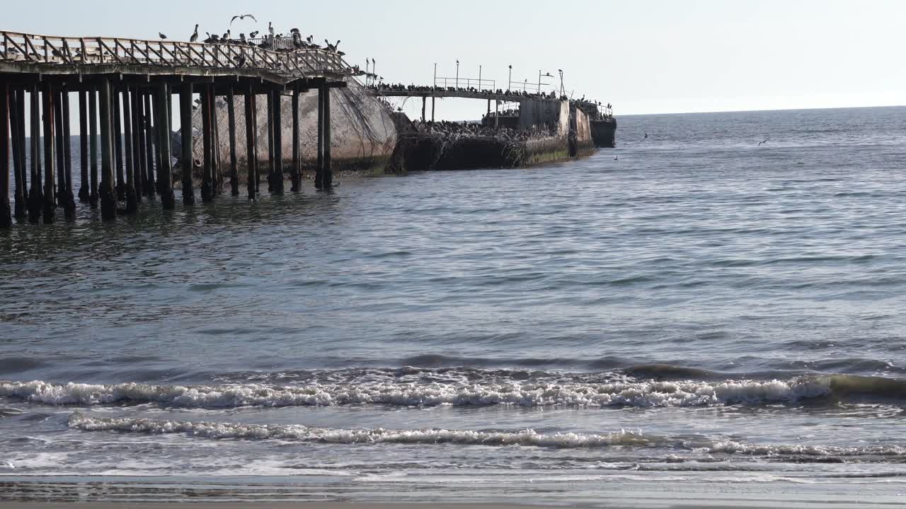 la playa estatal seacliff en santa cruz, california, es conocida por su muelle de pesca y el buque naval hundido ss palo alto.