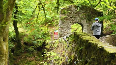 person walking through forest entrance in dunkeld