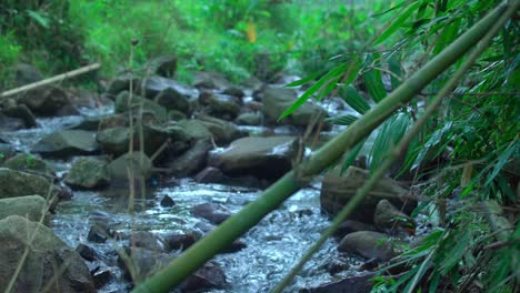 a revealing shot of a small river stream in the mountain