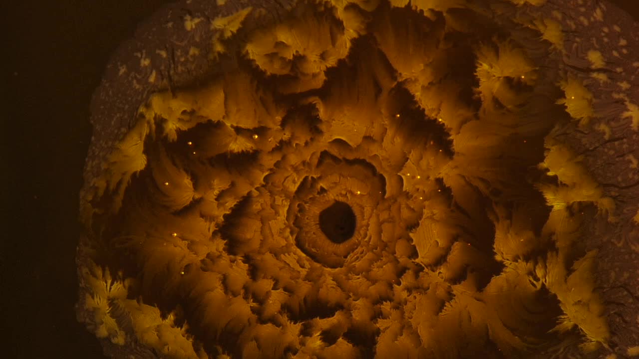 las plumas doradas alrededor de su ojo seguían desplegándose, volviéndose cada vez más hermosas; para obtener más información, busque "videoclip abstracto" entre comillas.