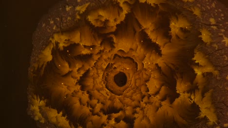 las plumas doradas alrededor de su ojo seguían desplegándose, volviéndose cada vez más hermosas; para obtener más información, busque "videoclip abstracto" entre comillas.