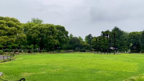 東京最美麗的景色