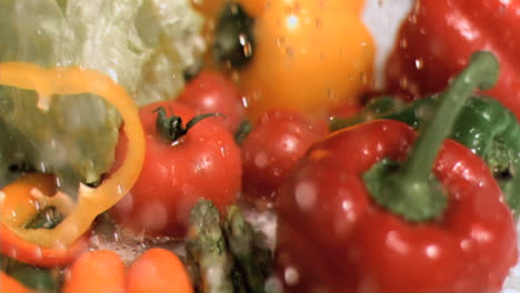 agua lloviendo sobre las verduras en súper cámara lenta