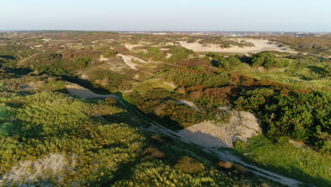 paisaje agreste de hollands duin en noordwijk, holanda del sur