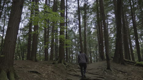 Caucasian-male-hiking-through-the-forest