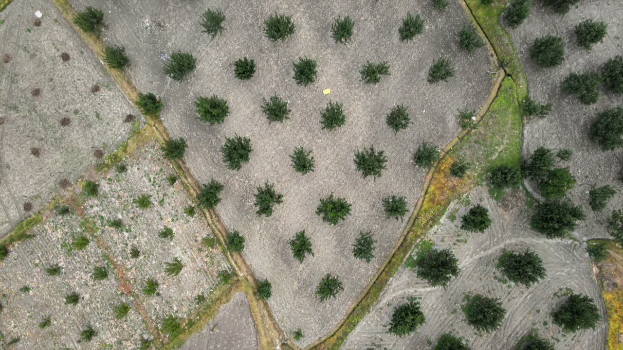 k tomas aéreas de un pequeño pueblo en