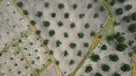 K-Luftaufnahmen-Eines-Kleinen-Dorfes-In