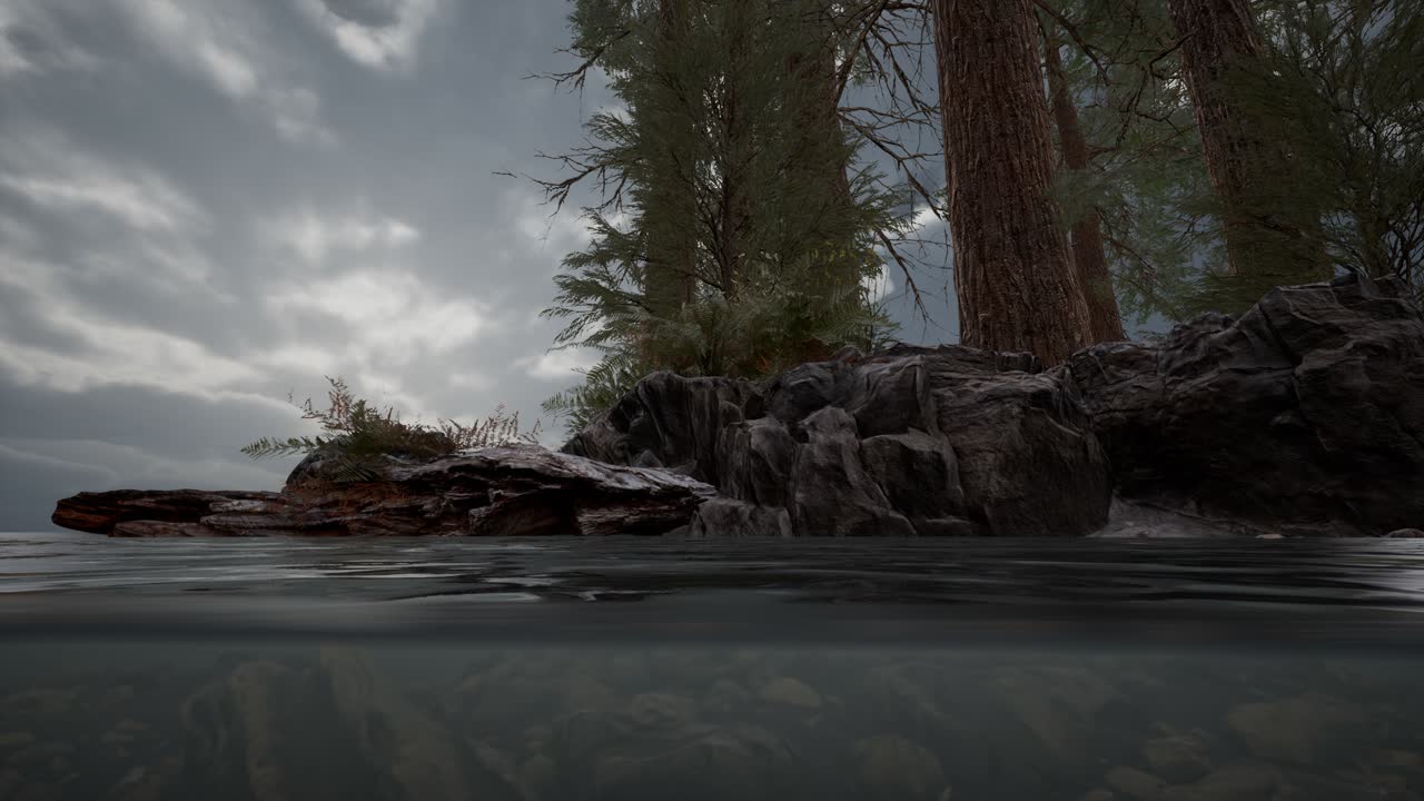 medio bajo el agua en el mar del norte con rocas