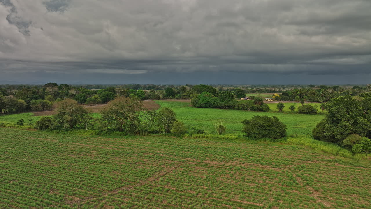 guarumal panamá antena v1 paso elevado de bajo nivel acres de tierras de cultivo hacia el horizonte sin fin capturando una hermosa llanura fértil en una zona rural con una vista del cielo tormentoso - rodada con mavic 3 cine - abril de 2022