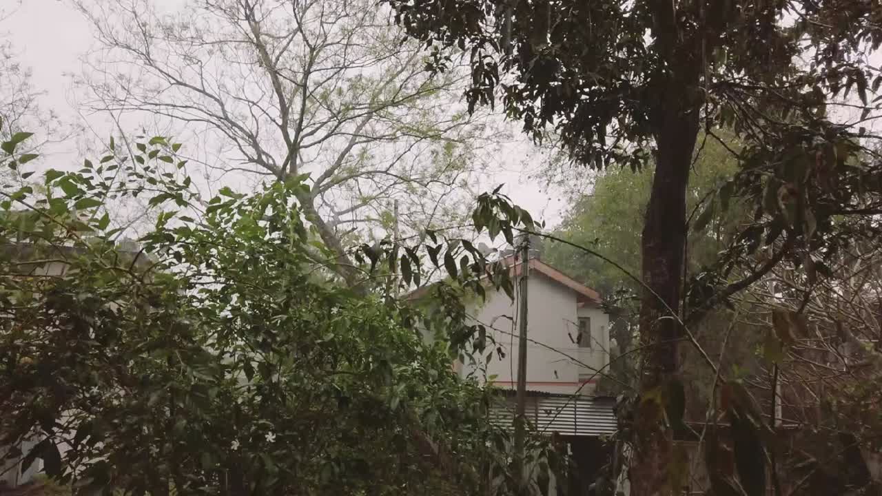 집을 배경으로 문순 시즌