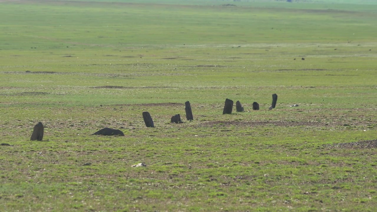 Antichi segnacoli in pietra che si ergono in un vasto prato verde