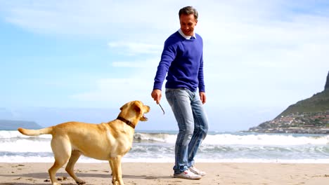 hombre maduro feliz jugando con el perro en la playa