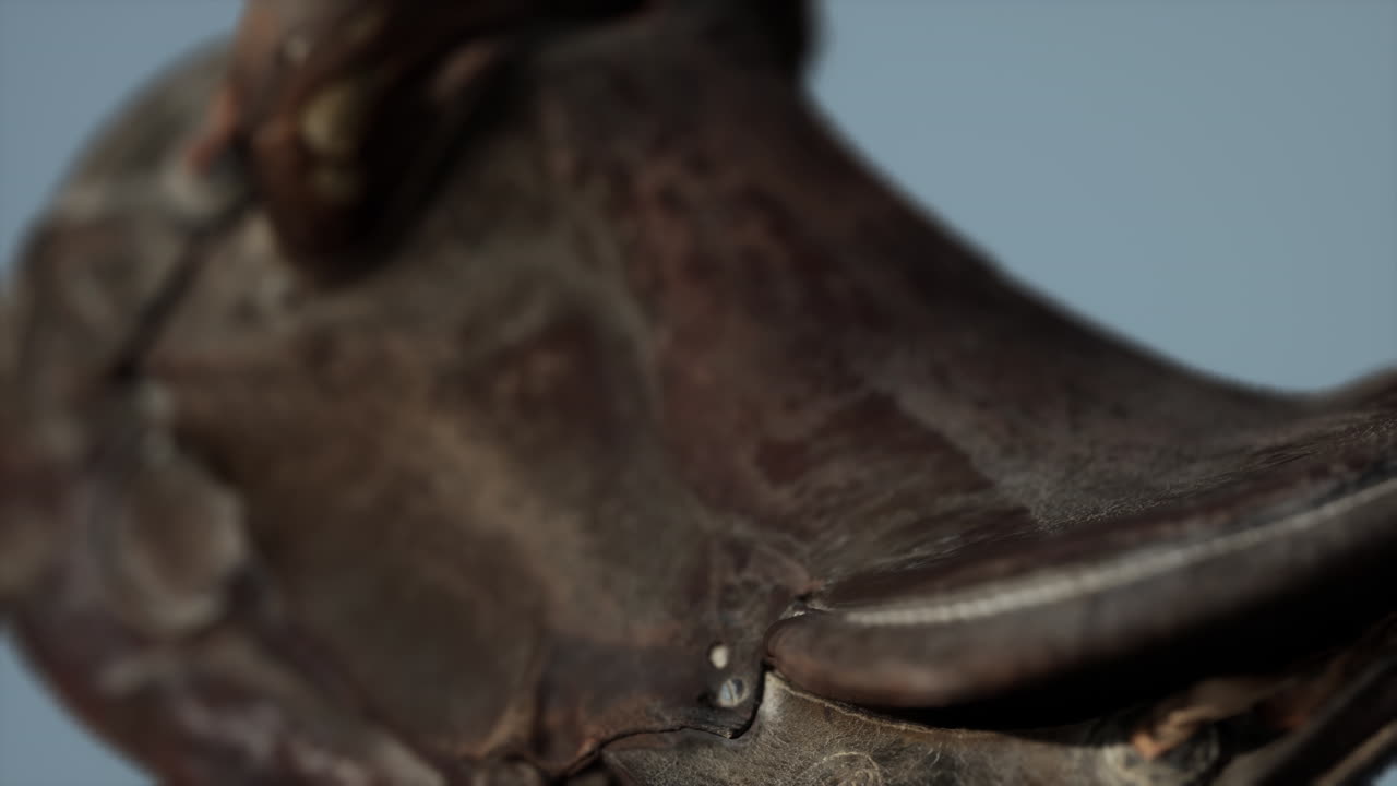 vieja silla de caballo de doma de cuero vintage usada