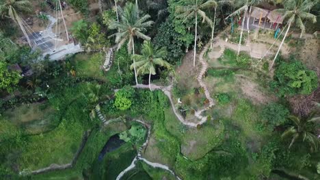 bali ubud tegalalang rice terrace paddies fields swing aerial scenery