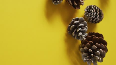 Video-of-pine-cones-lying-on-yellow-surface