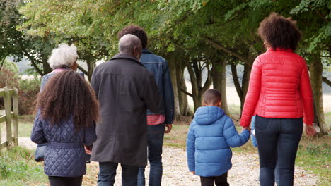 Rückansicht-Einer-Mehrgenerationenfamilie-Bei-Einem-Gemeinsamen-Herbstspaziergang-Auf-Dem-Land