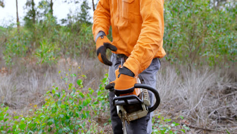 lumberjack holding electric saw in forest 4k