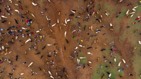 busy open-air tribal livestock market in kako - top view