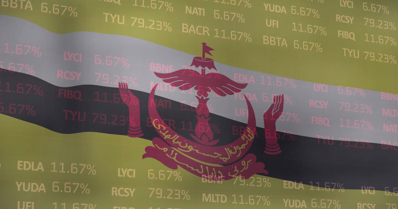 Animation of financial data processing over flag of burnei