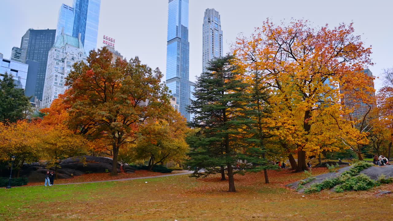 New York, USA, 8 October 2025: Beautiful colorful trees in the park in autumn. Some people walk by the Central Park at daytime. Skyscrapers at backdrop