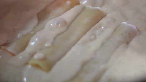 cannelloni with bechamel sauce boiling in slow motion