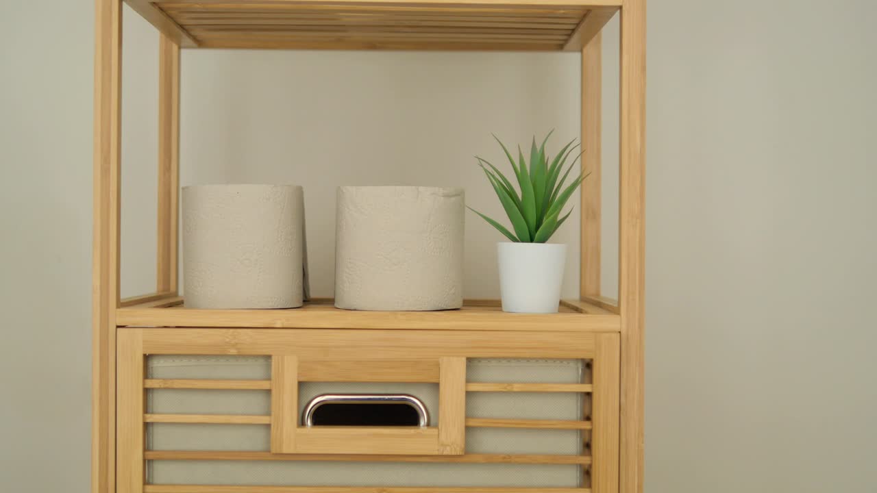 Bathroom shelf with toilet paper and plant