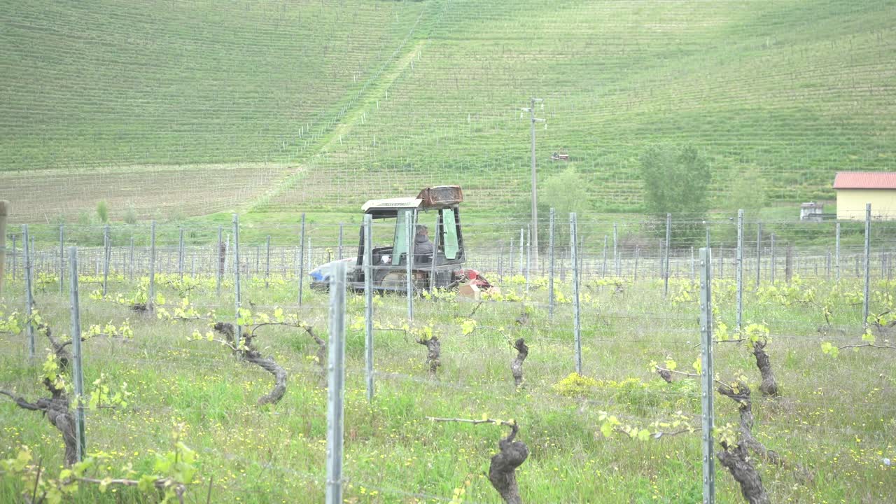 봄 날 가비 포도 에서 이동 하는 트랙터