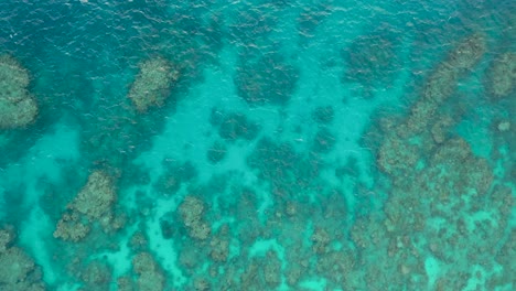Great-Barrier-Reef-top-down-aerial-view-of-coral-ecosystem-and-turquoise-ocean,-near-Cairns,-Queensland,-Australia