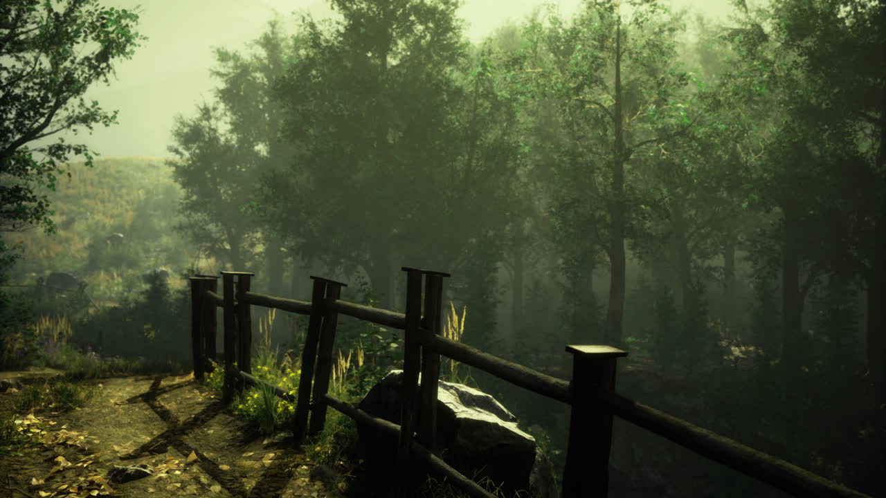 Misty morning light filters through a tranquil forest with lush greenery
