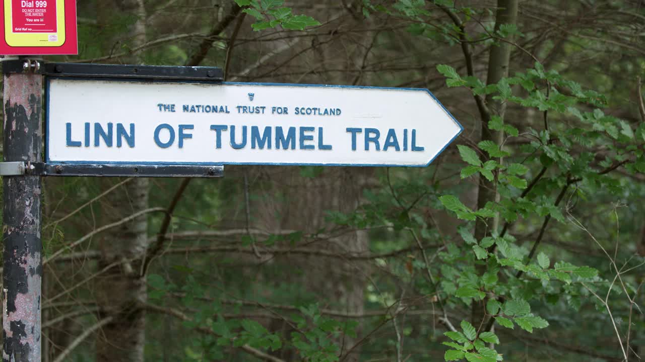 Static shot of trail signpost in forest, natural daylight, minimal camera movement, tranquil atmosphere