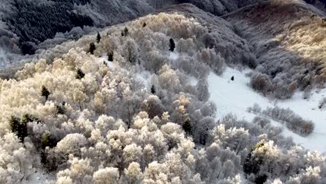 Fliegen-Der-Drohne-über-Die-Apuseni-Berge-In-Der-Nähe-Des-Dorfes-Marisel