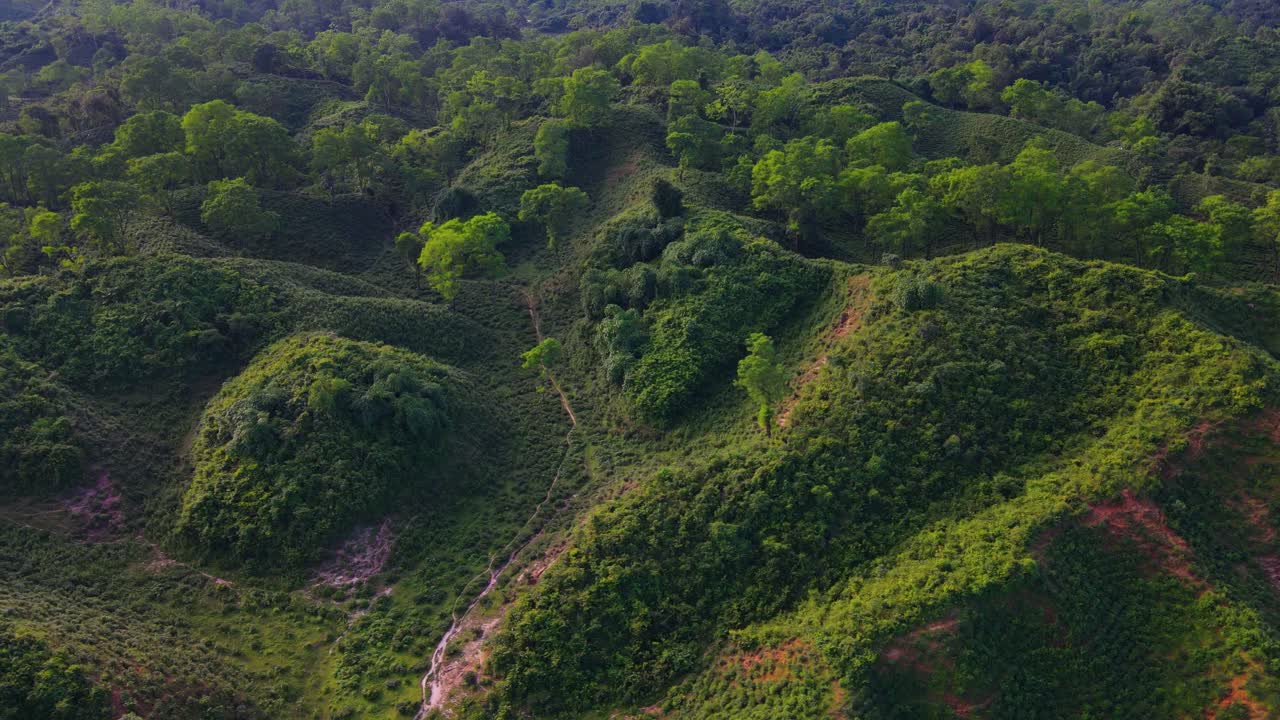 vista aérea del valle de la colina con bosque y sendero estrecho en sylhet, bangladesh