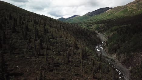 Sensationeller-Rundflug-über-Dem-Tal-Mit-Grünen-Bäumen-Und-Vegetation-In-Hanglagen-Und-Bergen-Am-Yukon-Tatamagouche-Creek-An-Bewölktem-Tag,-Kanada,-Luftanflug-über-Dem-Kopf