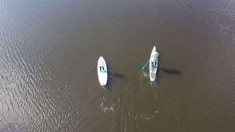 paddleboarding on a calm lake